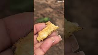 Spice-filled adventure in Zanzibar! 🌶️🍍 #Shorts