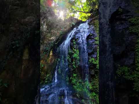 Cachoeira Toca da Onça Faxinal-Pr #djimini5pro #natureza #djibrasil