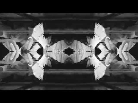 ILIA GOROVITZ - Leucochloridium