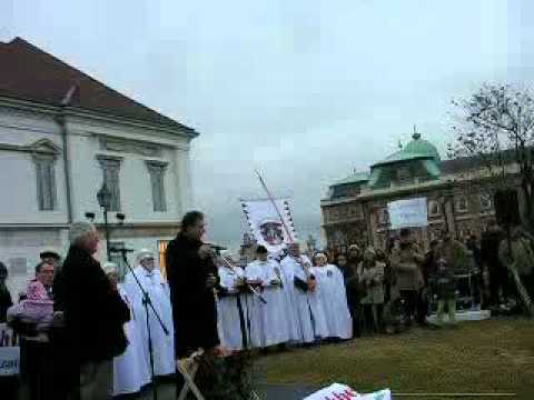 Pr. Chisarau la Budapesta.avi
