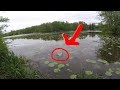 Hecht attackiert Frosch! #freestylefishing