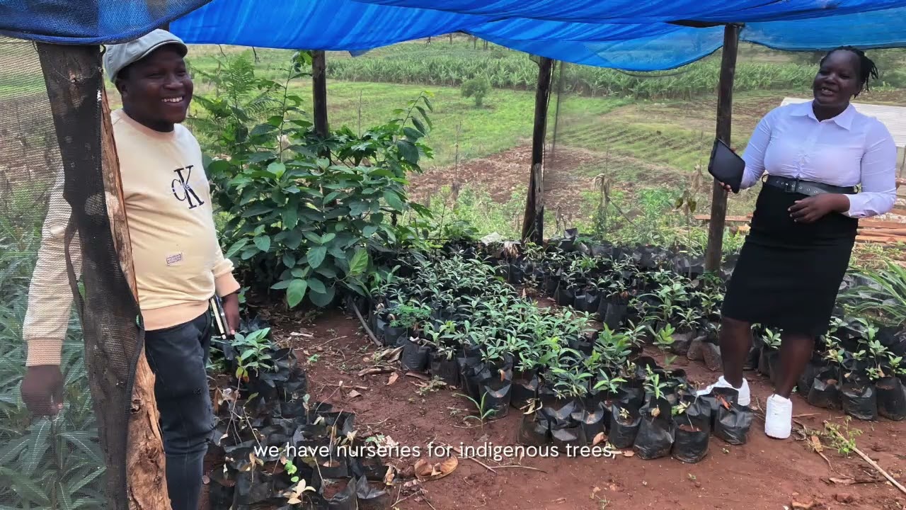 Sekai Chimero's story- From Cyclone Idai to green hope