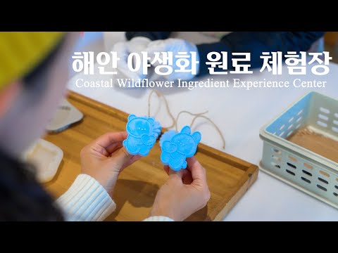 해안 야생화 원료 체험장