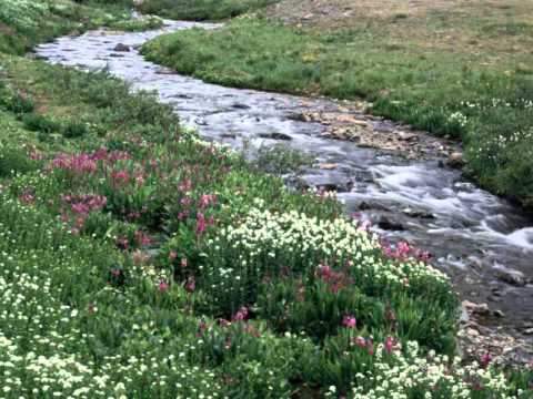 jbomb walk away kk (Splash Team Mixtape)