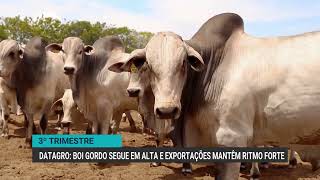 Exports keep cattle prices high.