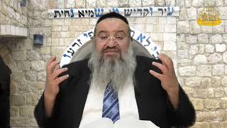 פניני הזוהר על הפרשה עם הרב רחמים נמני | פרשת וארא (מוסדות כיסא רחמים) - התמונה מוצגת ישירות מתוך אתר האינטרנט יוטיוב. זכויות היוצרים בתמונה שייכות ליוצרה. קישור קרדיט למקור התוכן נמצא בתוך דף הסרטון פניני הזוהר על הפרשה עם הרב רחמים נמני | פרשת וארא (מוסדות כיסא רחמים) - התמונה מוצגת ישירות מתוך אתר האינטרנט יוטיוב. זכויות היוצרים בתמונה שייכות ליוצרה. קישור קרדיט למקור התוכן נמצא בתוך דף הסרטון