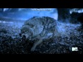 Teen Wolf Scott Turns Malia Back To Human