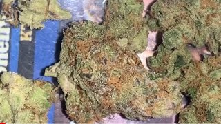 SUNNY SIDE DISPENSARY REVIEW