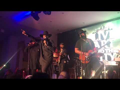 THE HAMILTONES LIVE IN HOUSTON TEXAS