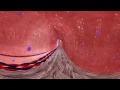 360 Panoramic interactive virtual tours by Virtual Reality Studio Columbus, Ohio