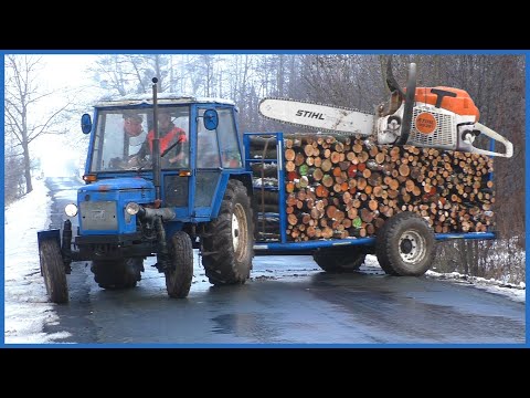 🎄Štědrodenní Svoz Dřeva z Lesa na Hané ve Sněhu a Blátě❄️Zwózka drzewa 2022🌳