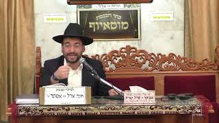 הרב מיכאל רביע | פרשת תרומה | מוסאיוף | תשפ"ג