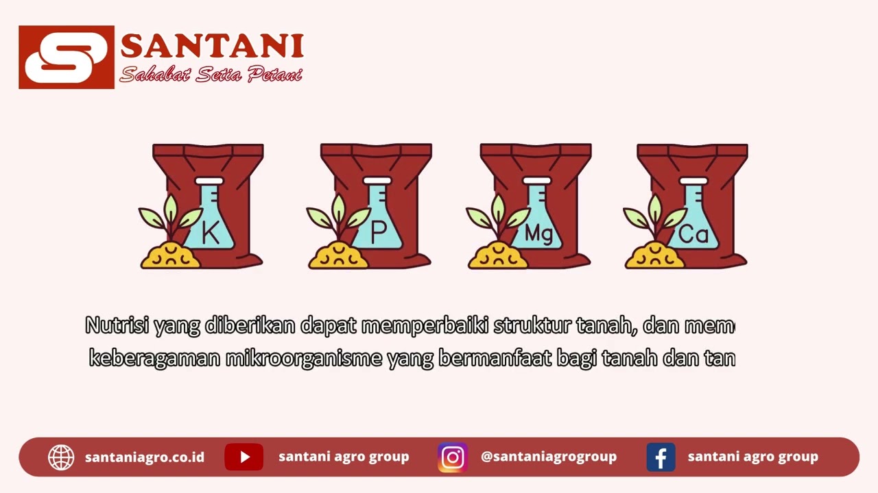 Educative Content Nutrisi Tanaman