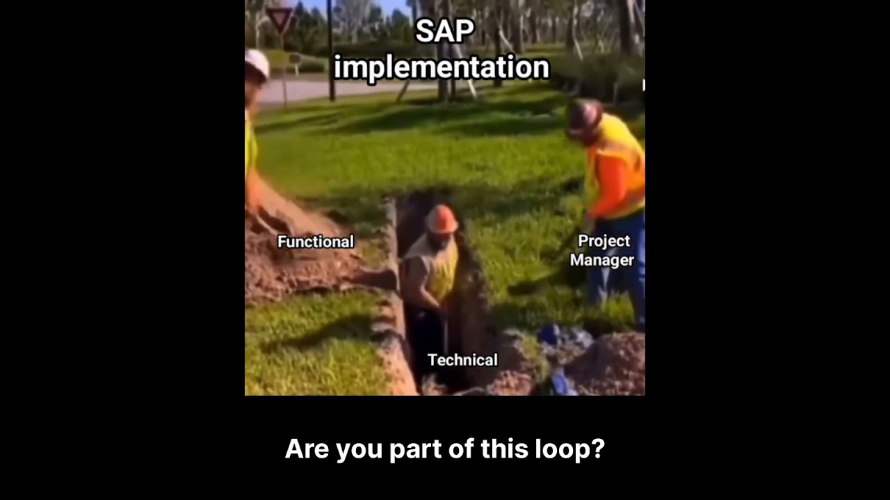 SAP Implementation