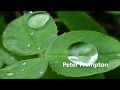 Peter Frampton -    I'm In You ( w/lyrics)