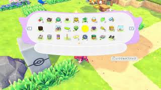 まったりぽこポケライフ17