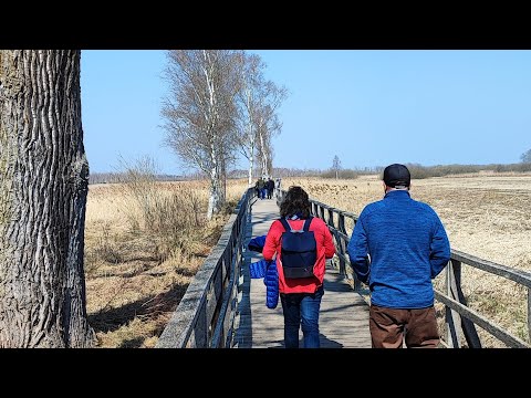 Bad Buchau 2022 - Federsee