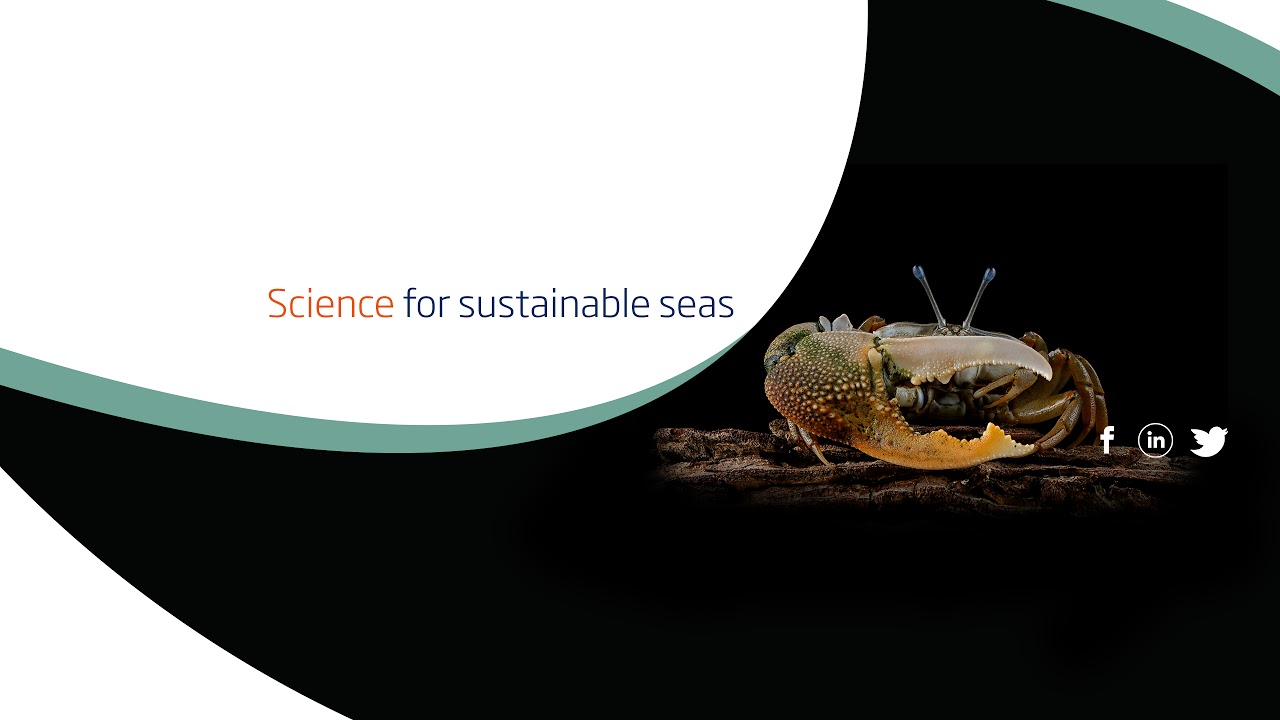 Navigating the future of fisheries with ecosystem-based management