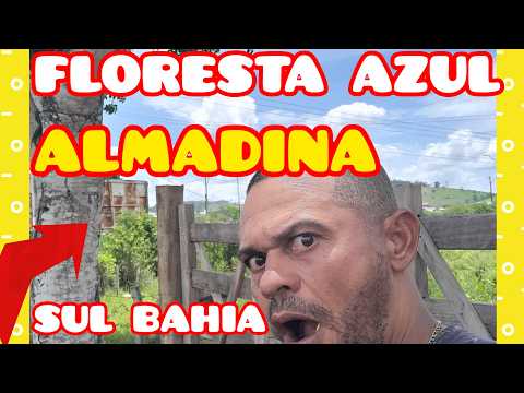 FLORESTA AZUL BA  HÁ ALMADINA SUL DA BAHIA REGIÃO CACAUERA @MariaPrata25 @liaferreira8600 @nordeste 