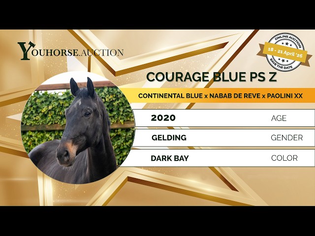 Courage blue ps Z