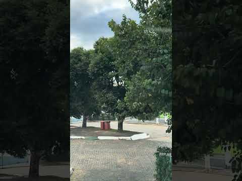 Mostrando no detalhe a cidade de Palma Minas Gerais