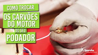 Como trocar os carvões do motor do podador elétrico?