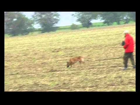 FCI-IPO - 2013 Granit iz Gratsiano (Tracking)