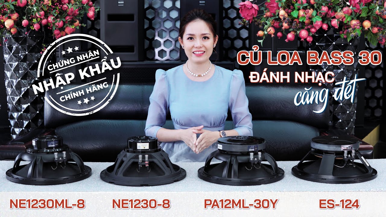 Top 4 Mẫu Loa Bass 30 Gây Bão Đáng Tiền Hay Nhất Hiện Nay | MAXO Audio