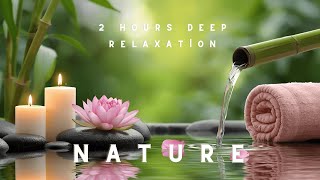 🌿 2 Hours Relaxing Meditation Music | Deep Focus & Inner Peace