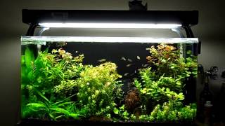 SeaClear System II update 9