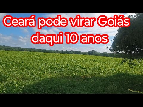Implementação de Goiás para o Nordeste essa moda vai pegar
