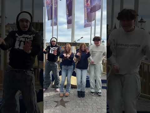 Gute Laune 🤪 #fun #dance #trending #europapark #shortvideo #twins #friends