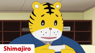 Go, Dad, Go! 💌 | Family | 24 Minute Compilation | Kids video for Kids | Shimajiro