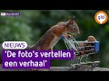 Albert fotografeerde een eekhoorn met winkelwagentje en het resultaat gaat de wereld over