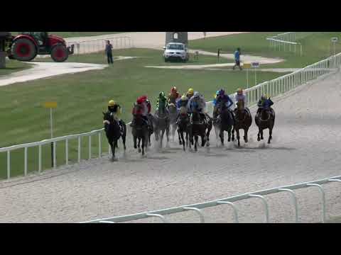 2019.06.23. 02. futam - NYERETLENEK VERSENYE (V.kat.) (szintetikus pálya)