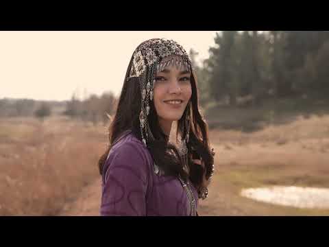 Shad Ovez, Dj Bumpy x SignalNøtFound - Aynam