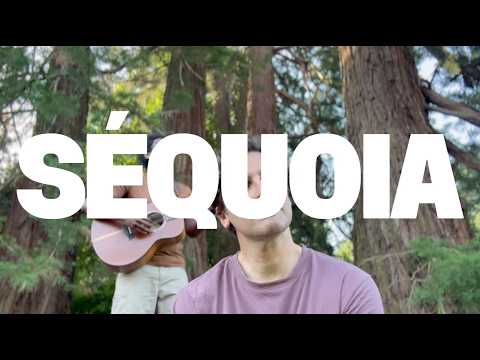 SEQUOIA - SUAREZ