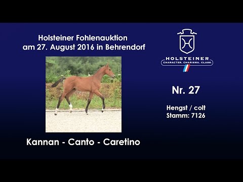 Holsteiner Fohlenauktion 2016 in Behrendorf - Nr. 27 v. Kannan - Canto