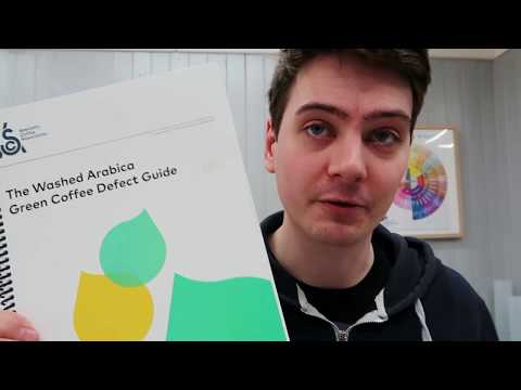 How to do Green Coffee Grading.