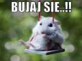 After Party - Bujaj Się (Slejbi Softly Remix) 