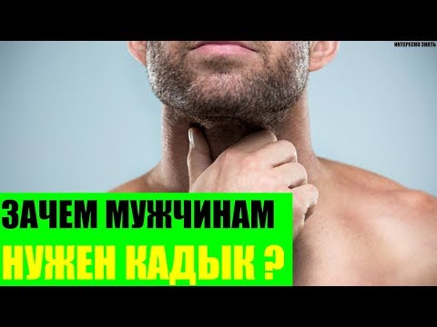 Why do men need an Adam's apple?