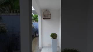 Curió Scandallo CRB