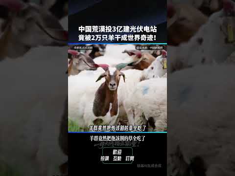 中国荒漠投3亿建光伏电站 ！竟被2万只羊干成世界奇迹！