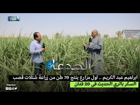 , title : 'ابراهيم عبد الكريم .. اول مزارع ينتج ٧٠ طن من زراعة شتلات قصب السكر بالري الحديث فى ٢٠ فدان'