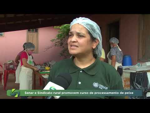 Processamento de peixe