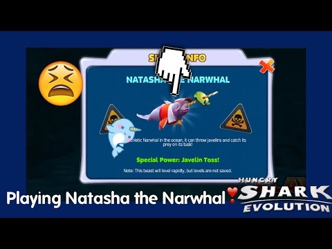Playing Natasha the Narwhal I Playing Hungry Sharks Evolution 🐚
