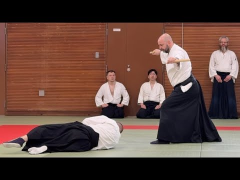 13 Amazing Martial Art Techniques | Daito-ryu Aikijujutsu
