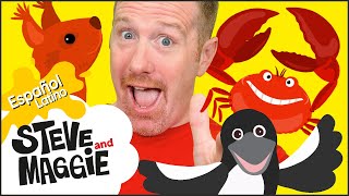 Ropa Mágica Divertida | Steve and Maggie Español Latino | Free Printables