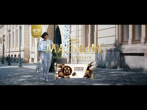Magnum Turistinis termosas Bullet 0,35 l Auksinis video