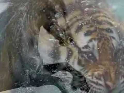 Native Deep Spirit, Yeha - Noha